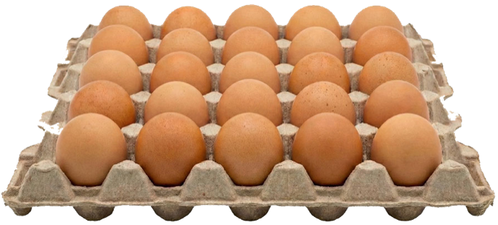 CheapCheap Eggs